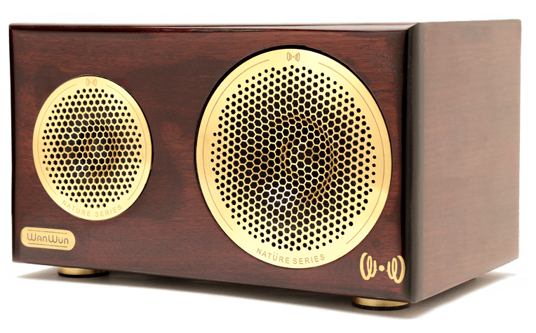 Wireless-home-speaker-system